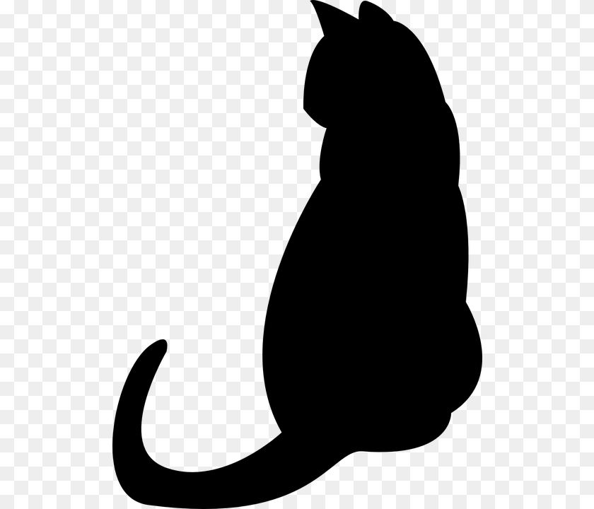 523x720 Cat Graphic Group With Items, Gray PNG