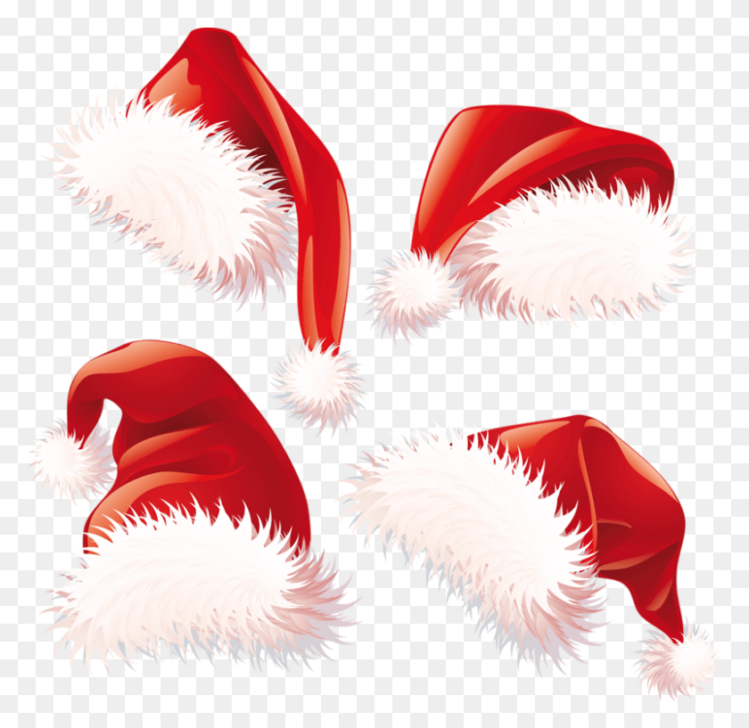 801x778 Cat In The Hat Hat Vector Santa Hat, Graphics, Tree HD PNG Download