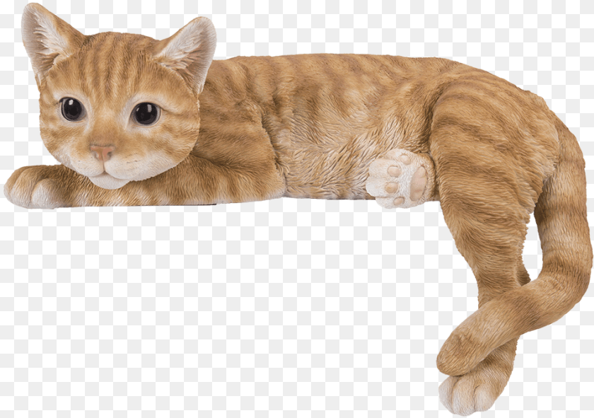 Cat Lying On Shelf, Animal, Mammal, Pet Sticker PNG