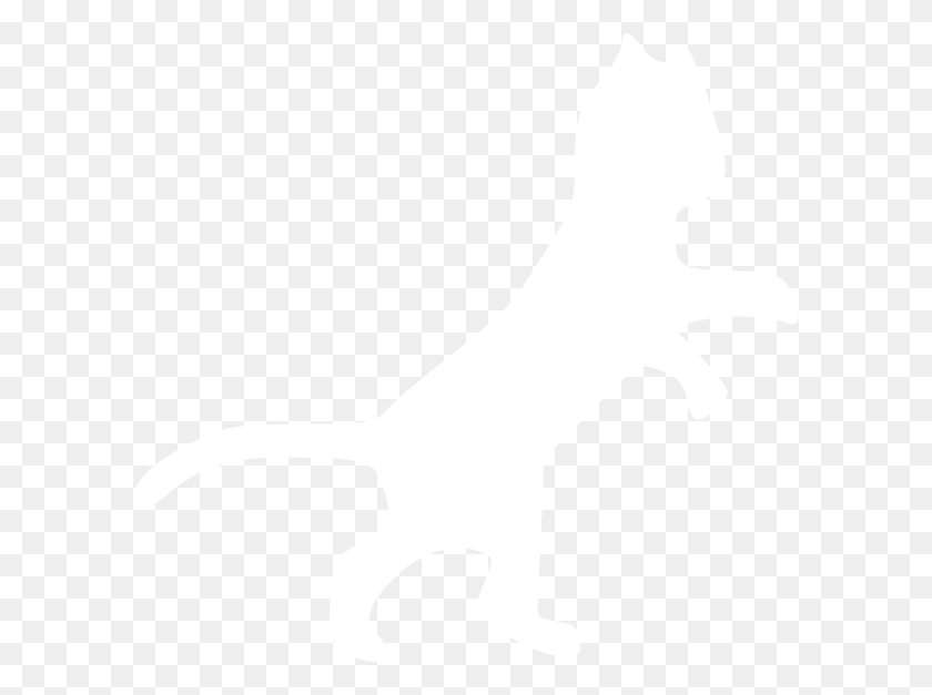 600x567 Cat Outline No Background, White, Texture, White Board HD PNG Download