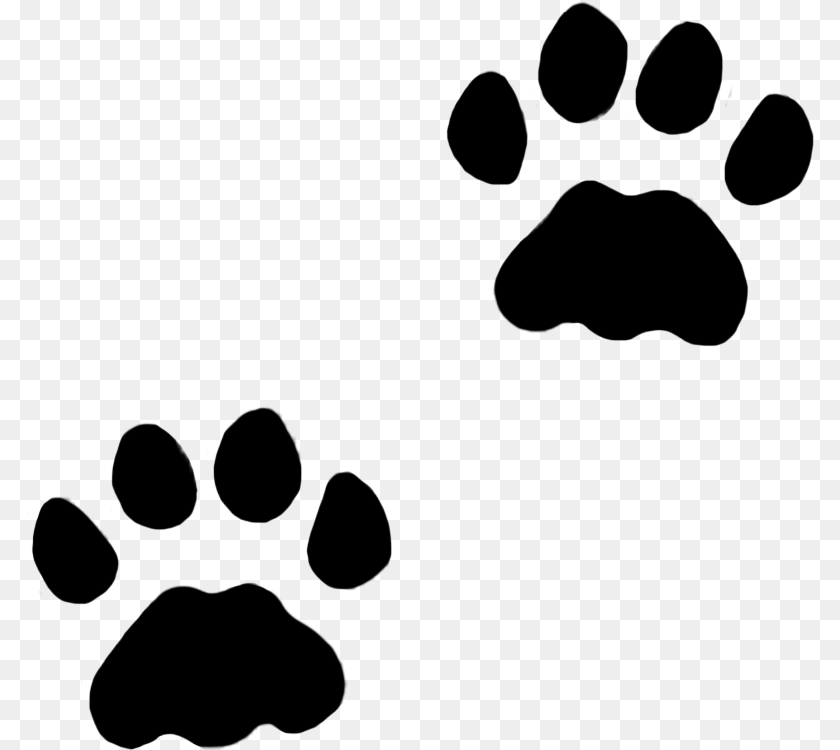 Cat Paw Print Clip Art, Silhouette, Text Transparent PNG