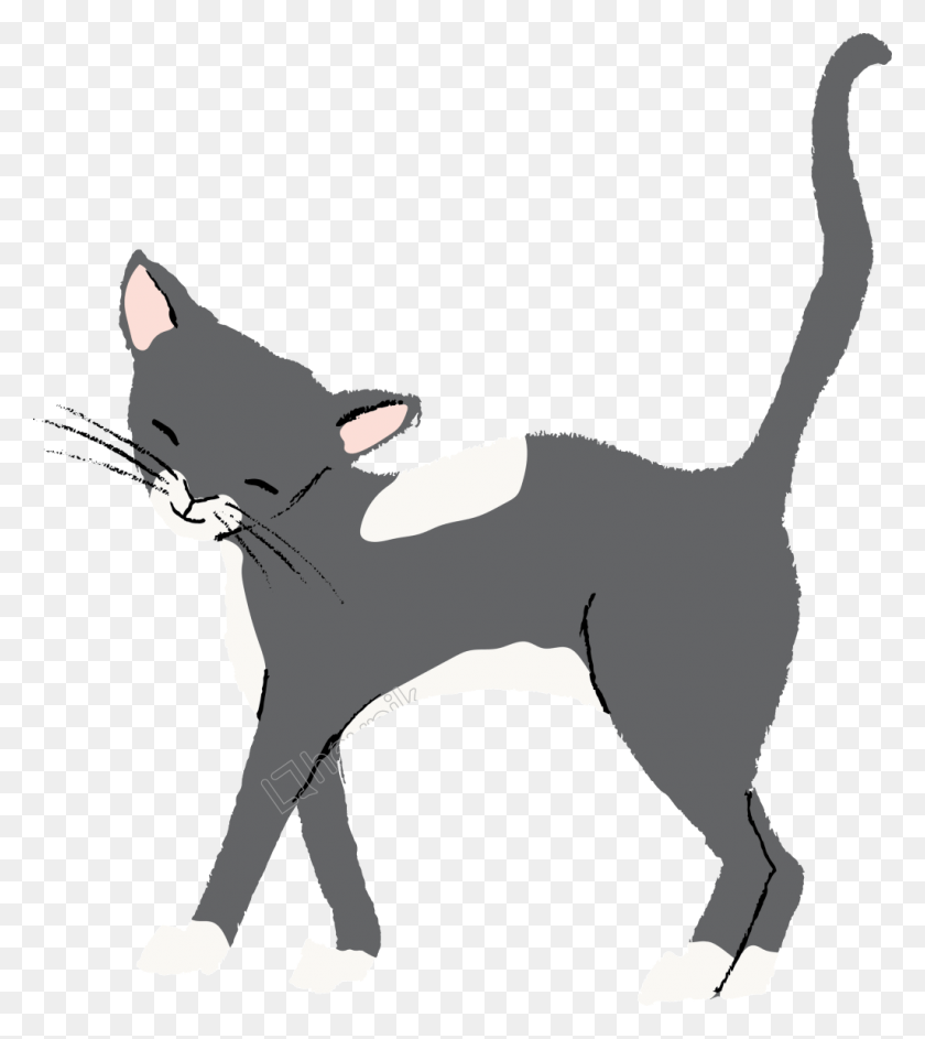 1024x1160 Cat Vector Dog Catches Something, Pet, Animal, Mammal HD PNG Download