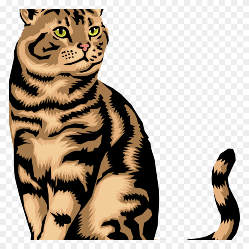 1024x1024 Кошка Вектор Настоящая Кошка Бесплатные Картинки, Тигр, Дикая Природа, Млекопитающее Hd Png Скачать
