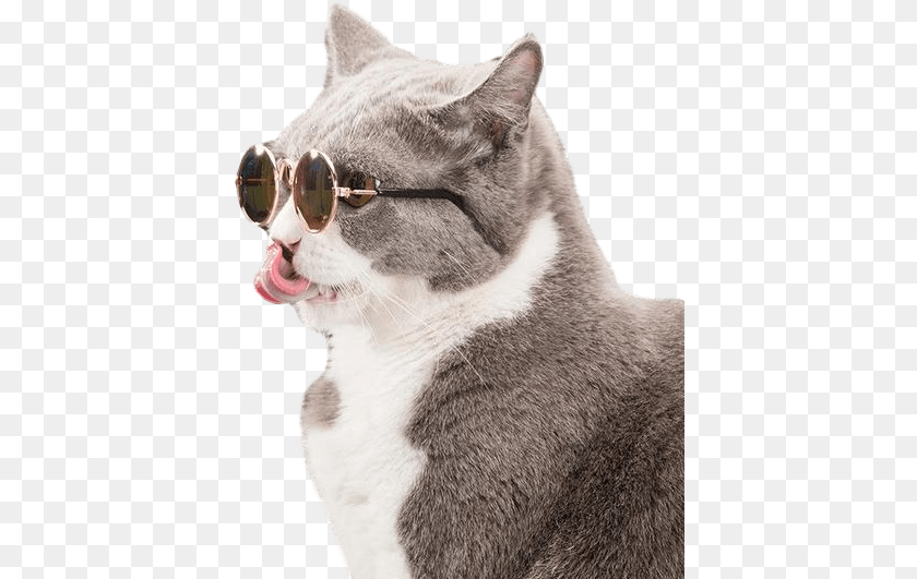 Cat With Sunglasses, Accessories, Person, Mouth, Body Part Clipart PNG