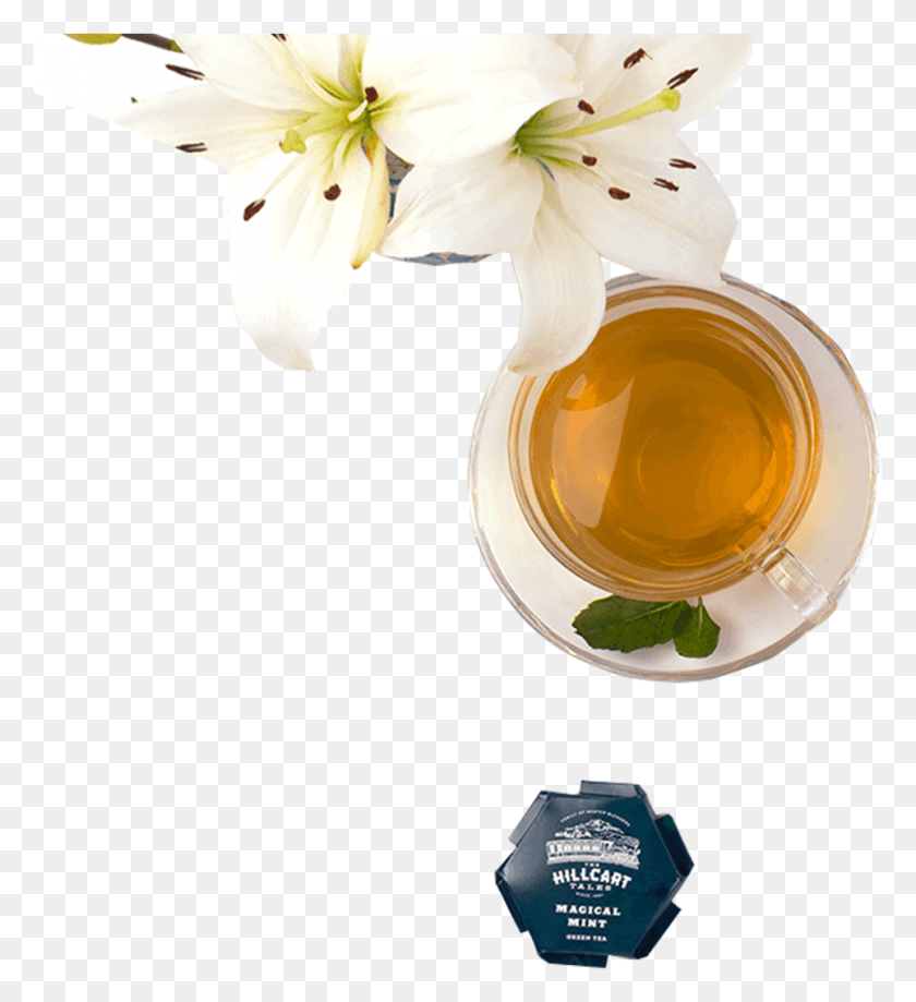 964x1062 Зеленая Стеклянная Бутылка Teamagical Mint T, Растение, Цветок, Цветение Png Скачать