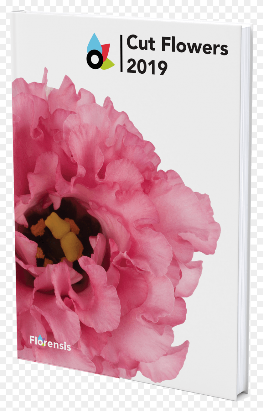 863x1385 Каталог Florensis Catalog 2019, Растение, Цветок, Цветение Hd Png Скачать