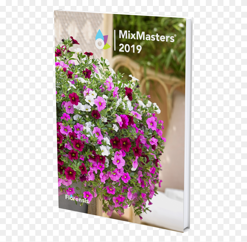 475x761 Catalogue View Catalogue Petunia, Plant, Flower, Blossom HD PNG Download