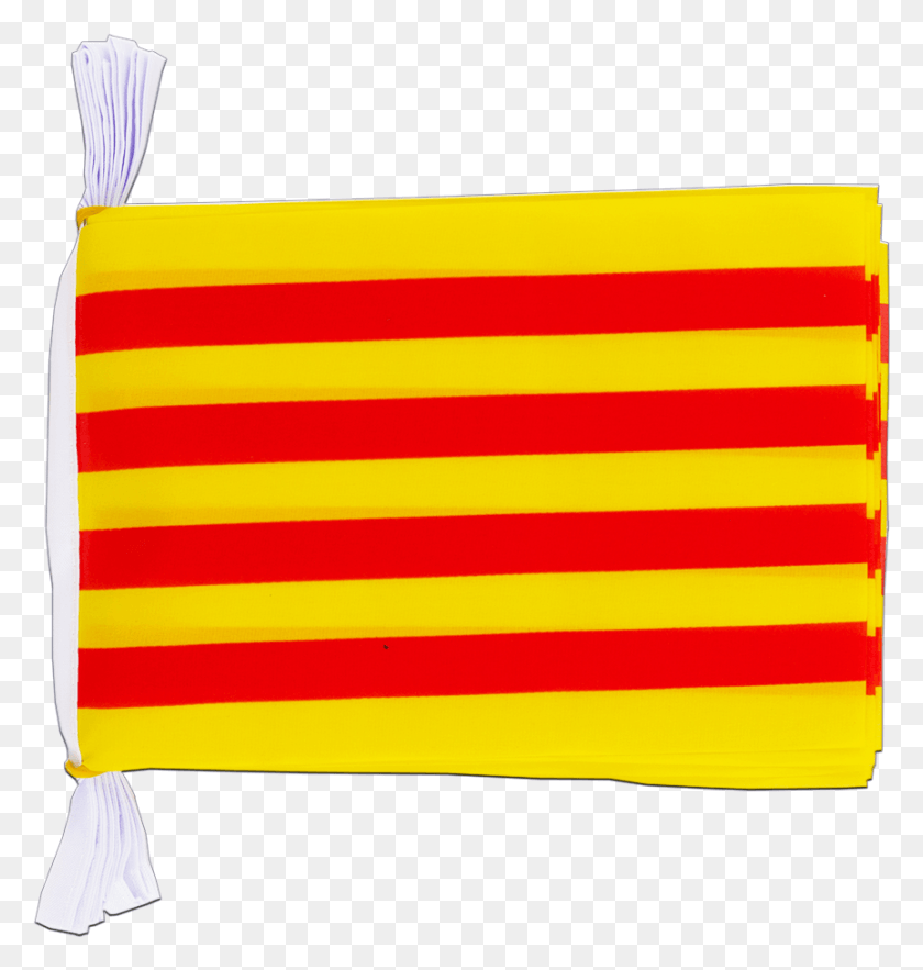 865x913 Флаг Каталонии С Мини-Флагом 6X9, Символ, Текст, Американский Флаг Png Скачать