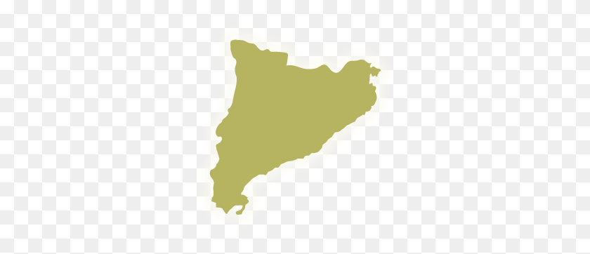 295x302 Catalunya Map, Arrowhead, Land, Outdoors HD PNG Download