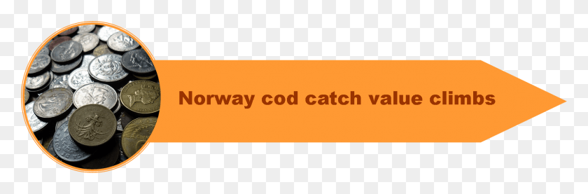 1589x444 Catchall Cod 6 Graphics, Word, Text, Logo HD PNG Download