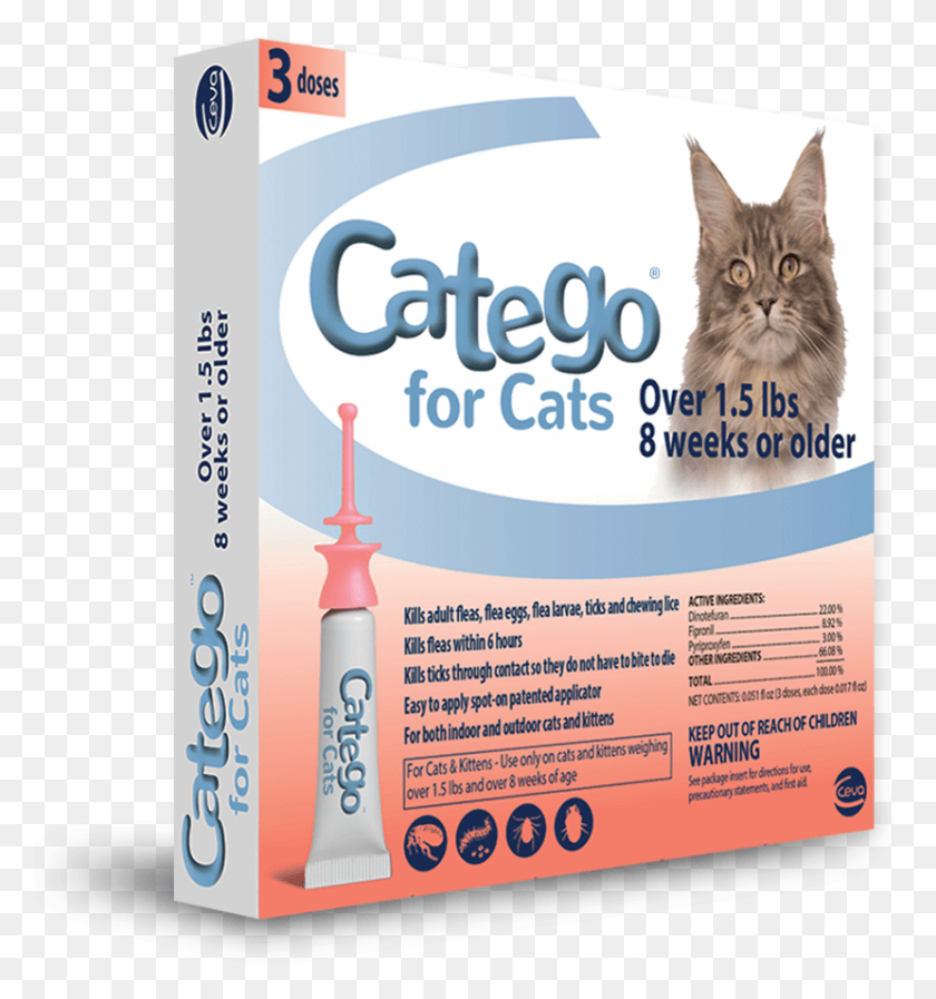 829x890 Catego Protects Box, Poster, Advertisement, Flyer HD PNG Download