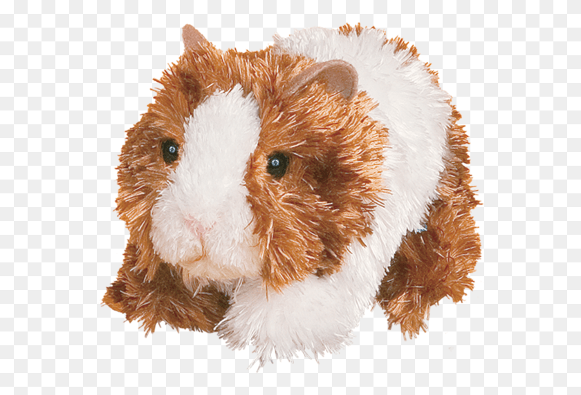 561x512 Categories Guinea Pig, Rodent, Mammal, Animal HD PNG Download