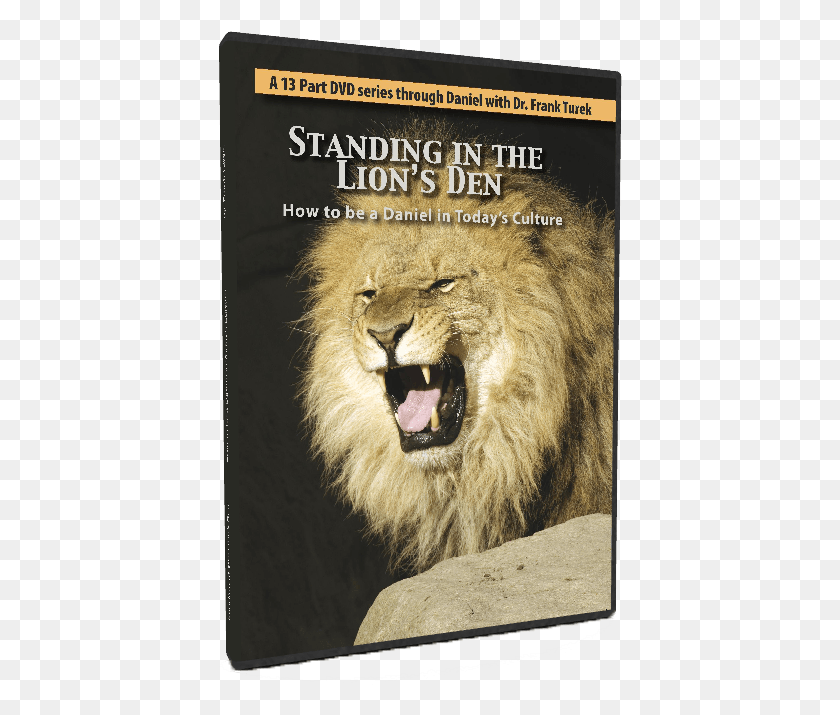 404x655 Categories Masai Lion, Wildlife, Mammal, Animal HD PNG Download