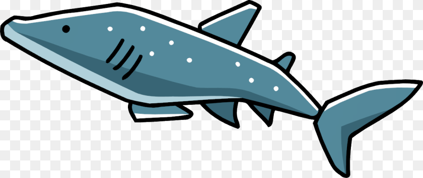 Categorysharks Scribblenauts Wiki Fandom Powered, Animal, Sea Life, Fish, Shark Clipart PNG