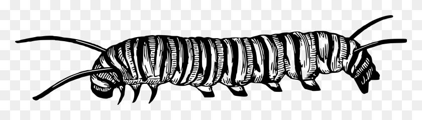 2500x574 Caterpillar Clipart Black And White Caterpillar Black And White Clipart, Gray, World Of Warcraft HD PNG Download