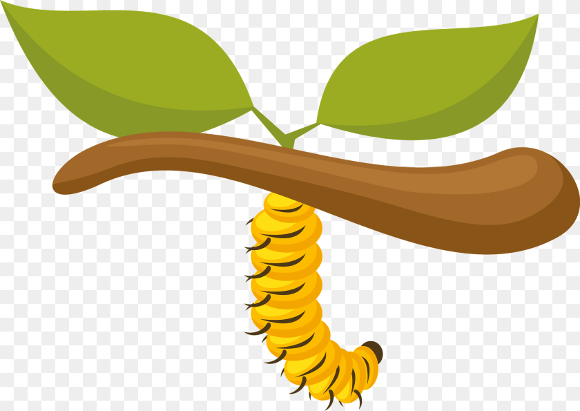 1920x1361 Caterpillar On Branch Clipart, Fruit, Banana, Produce, Plant Transparent PNG