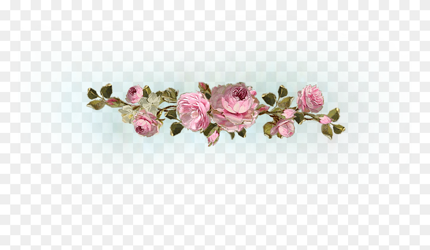 769x429 Descargar Png / Catherine Risi Pinturas De Rosas Rosas De Jardín, Planta, Flor Hd Png