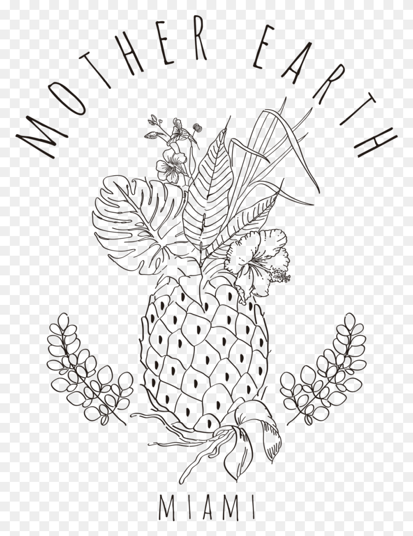 946x1250 Catnip Drawing Oregano Plant Motherearth, Floral Design, Pattern, Graphics HD PNG Download