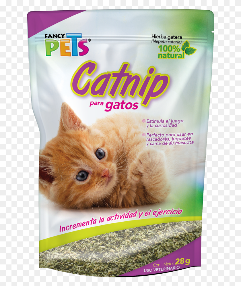 654x935 Catnip Pgatos 28 Grs Catnip Gatos, Kitten, Cat, Pet HD PNG Download