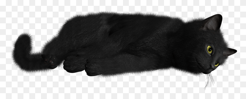 1454x523 Кошки Значок Клипарт Кошка, Млекопитающее, Животное, Домашнее Животное Hd Png Скачать