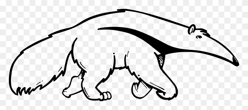 1646x663 Cats Vector Cat Outline Outline Of An Anteater, Bow, Wildlife, Animal HD PNG Download