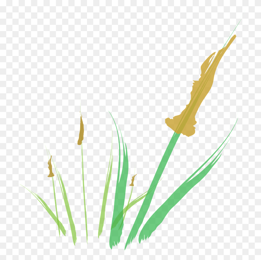 742x776 Cattail Abstract Digital Illustration Illustration, Plant, Flower, Blossom HD PNG Download
