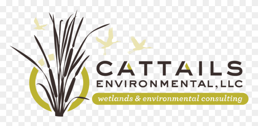 840x381 Cattails Graphic Design, Text, Logo, Symbol HD PNG Download