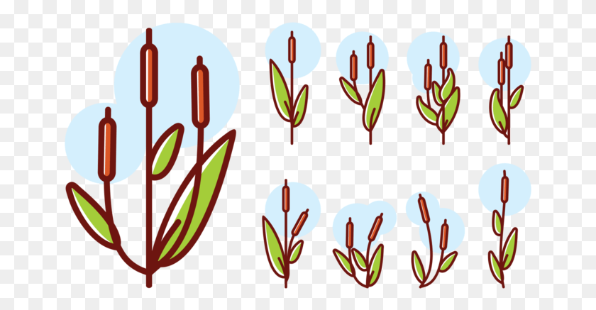 661x377 Cattails Icons Vector Cattail Icon, Dynamite, Bomb, Weapon HD PNG Download