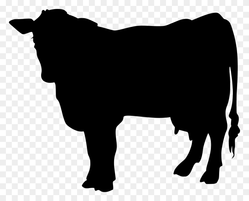 Cattle, Gray, World Of Warcraft HD PNG Download