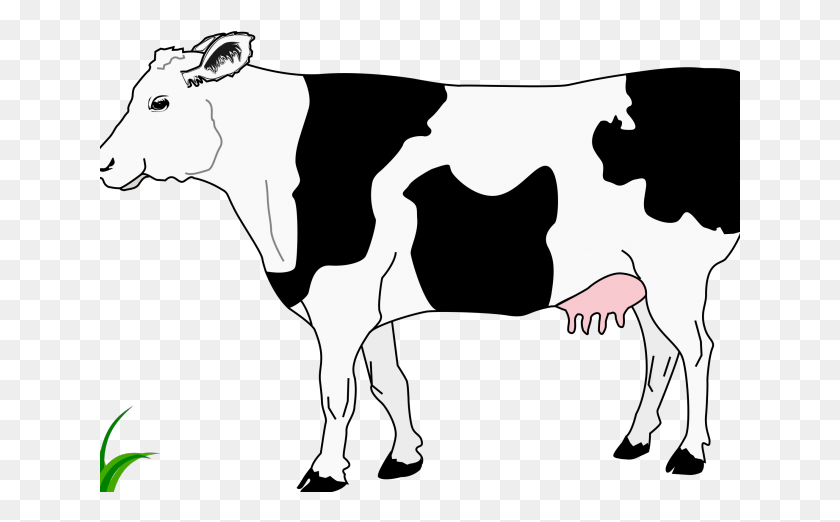 641x462 Cattle Clipart Cow Head Black And White Cow Cartoon, Stencil, Person HD PNG Download