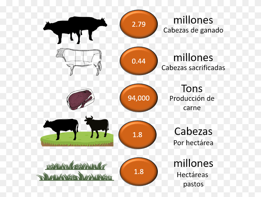 609x575 Cattle Indicators Dairy Cow, Candle, Plant, Text HD PNG Download