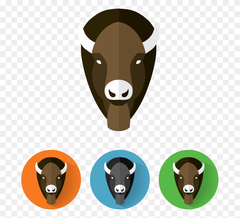 691x705 Cattle Water American Water Buffalo, Animal, Mammal, Wildlife HD PNG Download