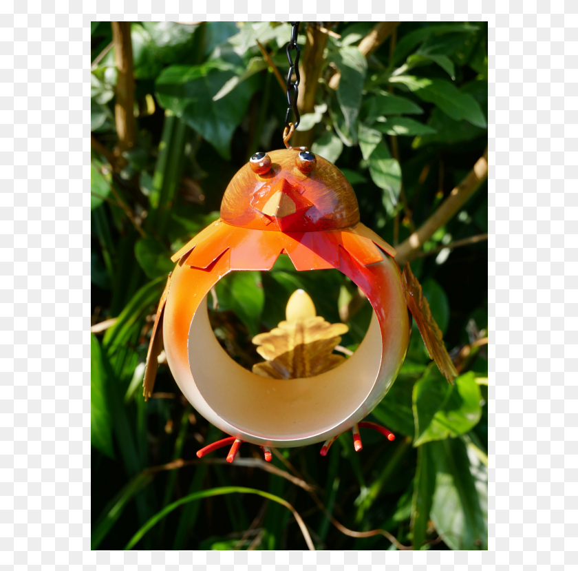 578x769 Cattleya, Ornament, Tree, Plant HD PNG Download