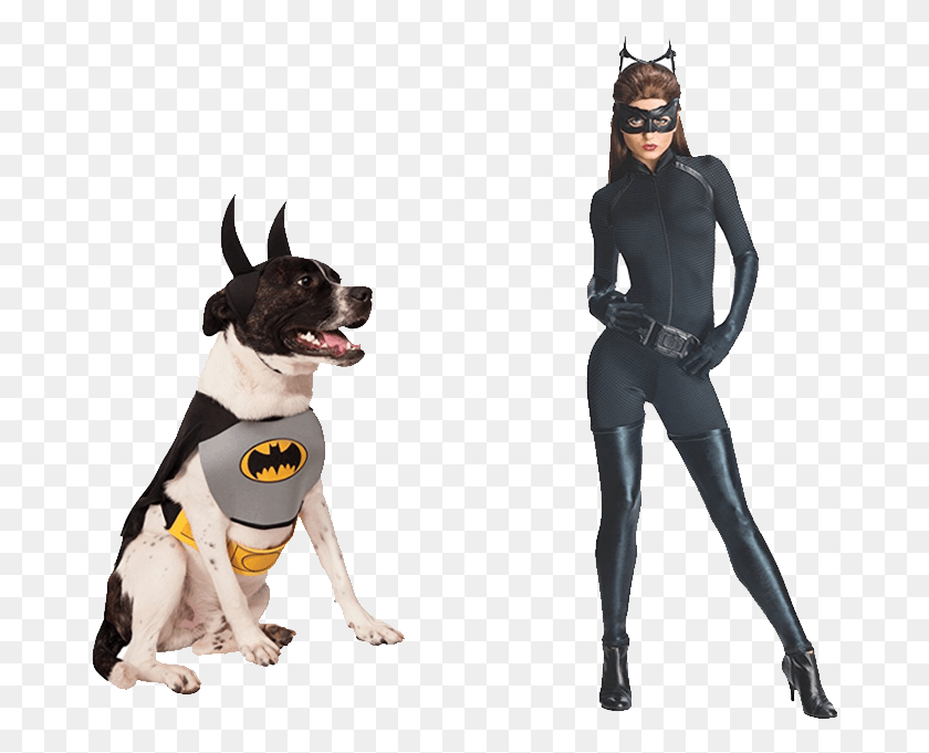676x621 Catwoman 1200 Nobg Cat Woman Disfraz, Person, Human, Dog HD PNG Download