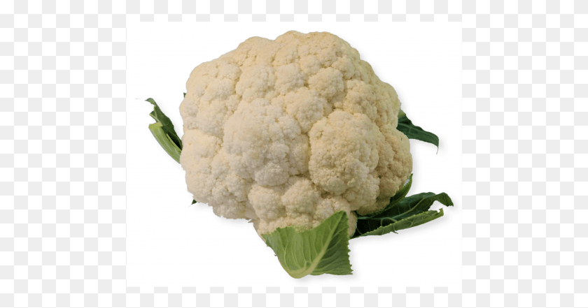 480x381 Cauliflower, Plant, Vegetable, Food HD PNG Download