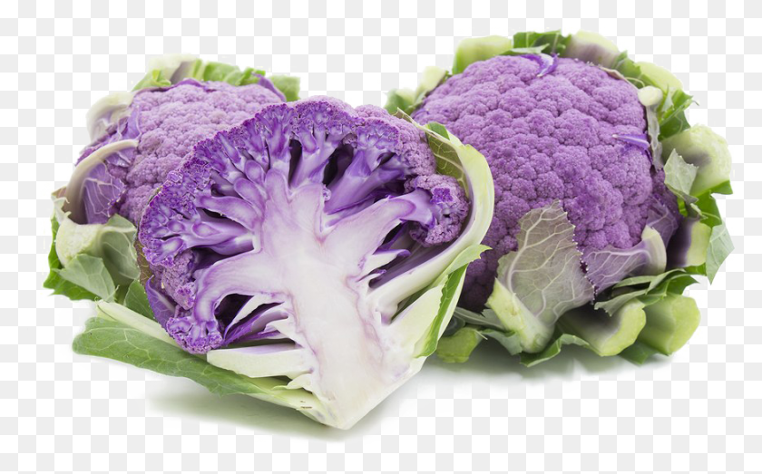872x518 Cauliflower Quality Cauliflower, Plant, Vegetable, Food HD PNG Download