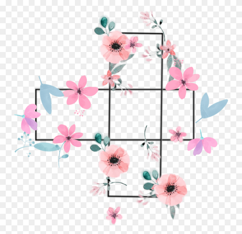 747x750 Cause Flowers Aesthetic Overlays Flowera, Plant, Flower, Blossom HD PNG Download