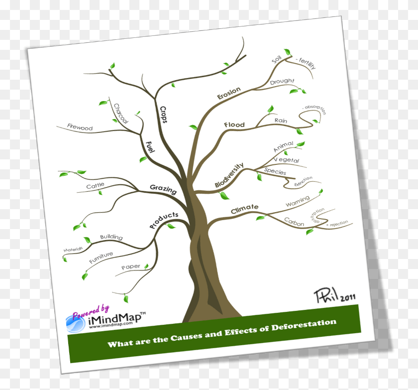 751x723 Causes And Effects Of Deforestation Or How To Make Template Mind Mapping Tree, Advertisement, Poster, Flyer HD PNG Download