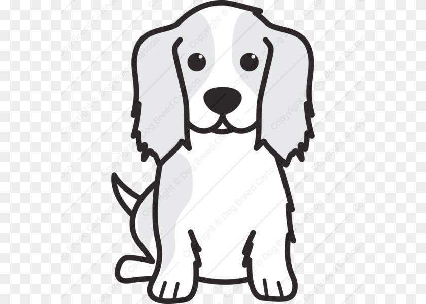 600x600 Cavalier King Charles Clipart Clip Art Images, Animal, Canine, Dog, Mammal Transparent PNG