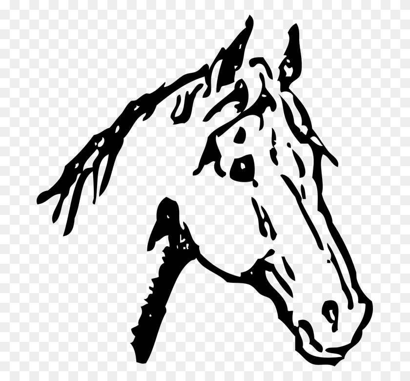 689x720 Cavalo Juba Garanho Pnei Hipismo Natureza Horse Черно-Белая Голова, Серый, World Of Warcraft Hd Png Скачать