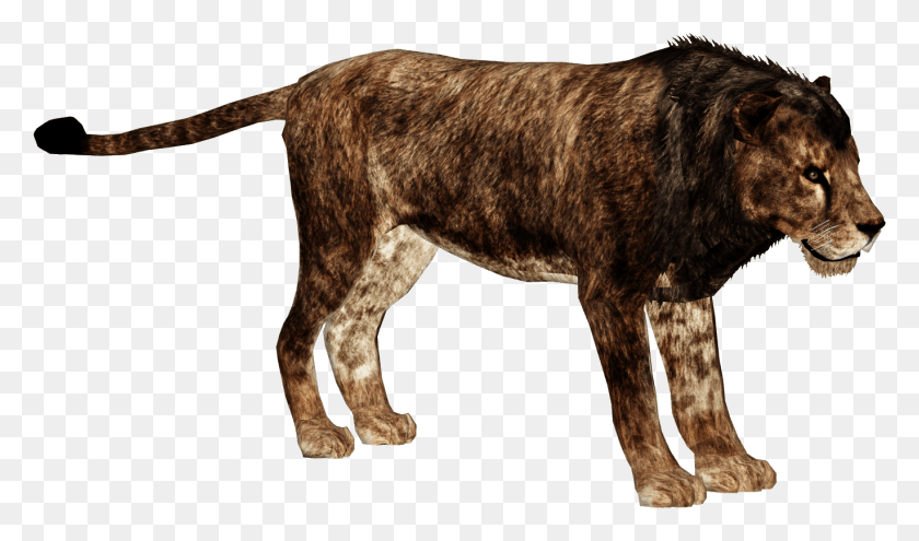 1369x764 Cave Lion Zoo Tycoon Cave Lion Image With, Mammal, Animal, Wildlife HD PNG Download