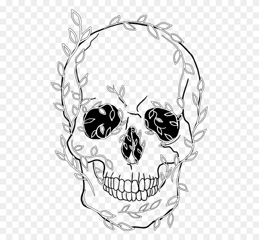 509x720 Caveira Folhas Rock Skull, Графика, Цветочный Дизайн Hd Png Скачать