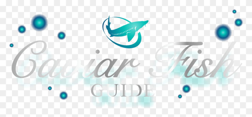 980x414 Caviar Fish Guide Graphic Design, Text, Alphabet, Label HD PNG Download