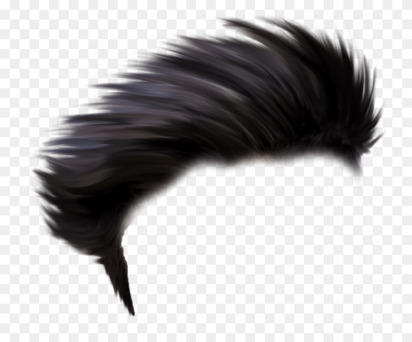 888x727 Cb Editing Hair For Picsart Latest Collection Picsart Hair, Bird, Animal, Dragon HD PNG Download