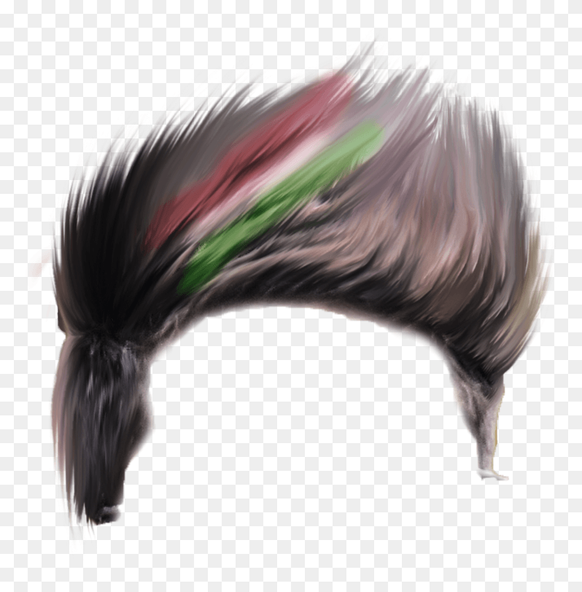 1676x1709 Cb Hair Men Hair For Picsart, Птица, Животное, Узор Hd Png Скачать
