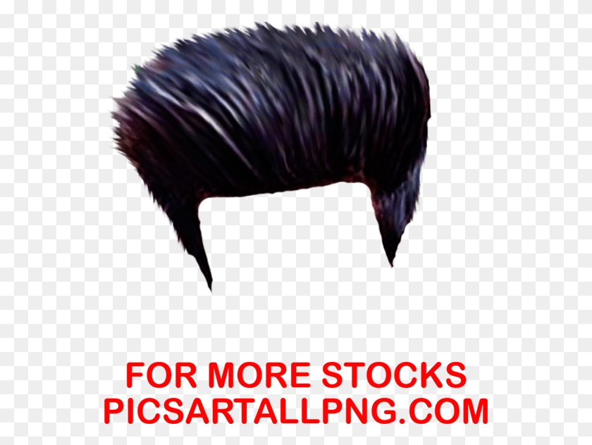 545x572 Cb Hair Pnghair Pngpicsartallpng Turkey, Animal, Mammal, Person HD PNG Download