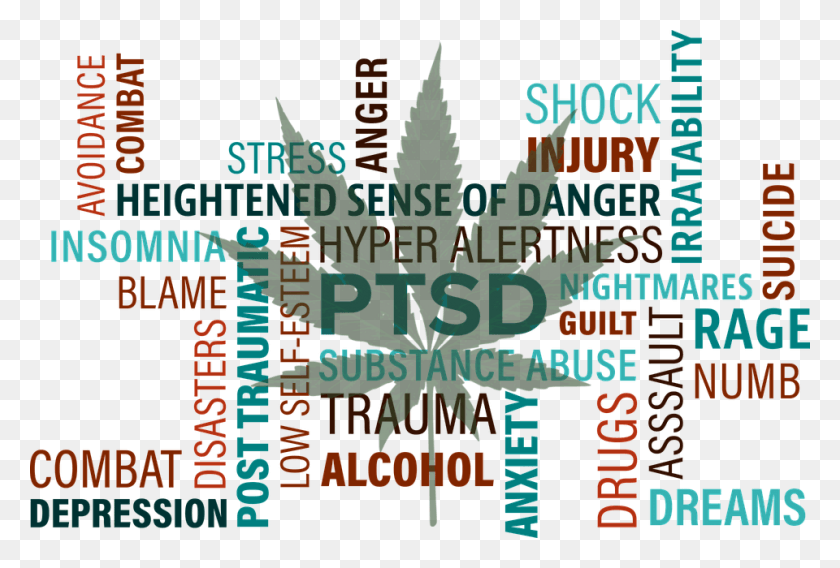 960x626 Cbd May Be The Most Effective Medicine For Ptsd Complex Ptsd, Plant, Text, Paper HD PNG Download