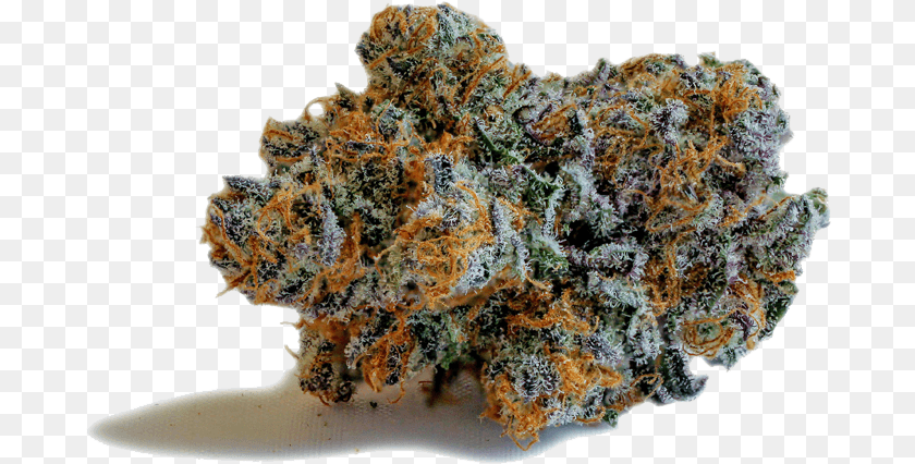 Cbd Punch Igneous Rock, Mineral, Accessories, Plant, Weed Transparent PNG