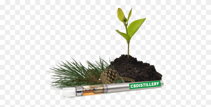 471x369 Cbd Vape Pen 200mg Gg Cannabidiol, Plant, Tree, Soil HD PNG Download