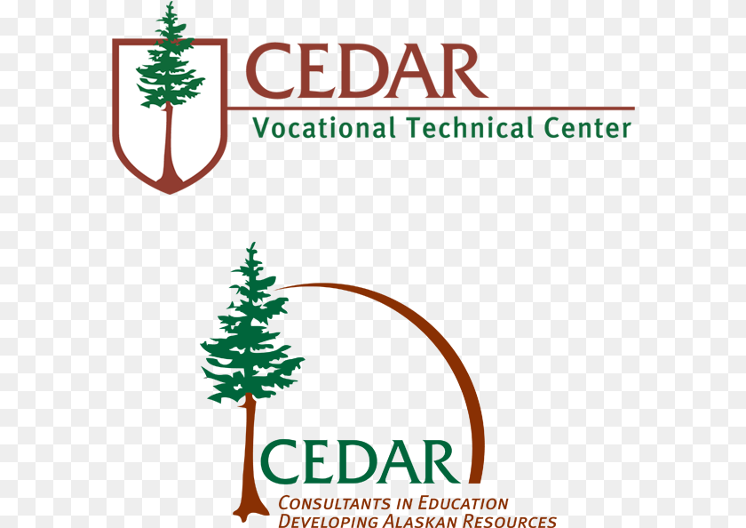 590x594 Cedar Vocational Training Centre Dotdesign Christmas Tree, Plant, Advertisement, Pine, Poster Transparent PNG